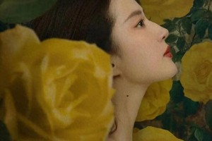 《玫瑰的故事》收官：刘亦菲演技获赞，佟大为翻红