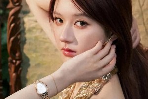 赵露思：95后小花的演艺之路与争议