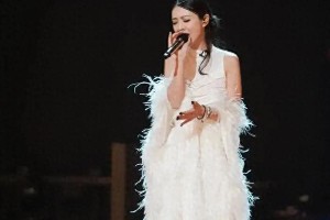 精选图片集锦：视觉盛宴一览