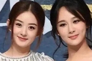 杨紫回应无缝进组争议：为热爱拼尽全力的演员