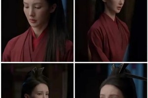 金晨整容后遗症引热议：从灵气少女到争议焦点