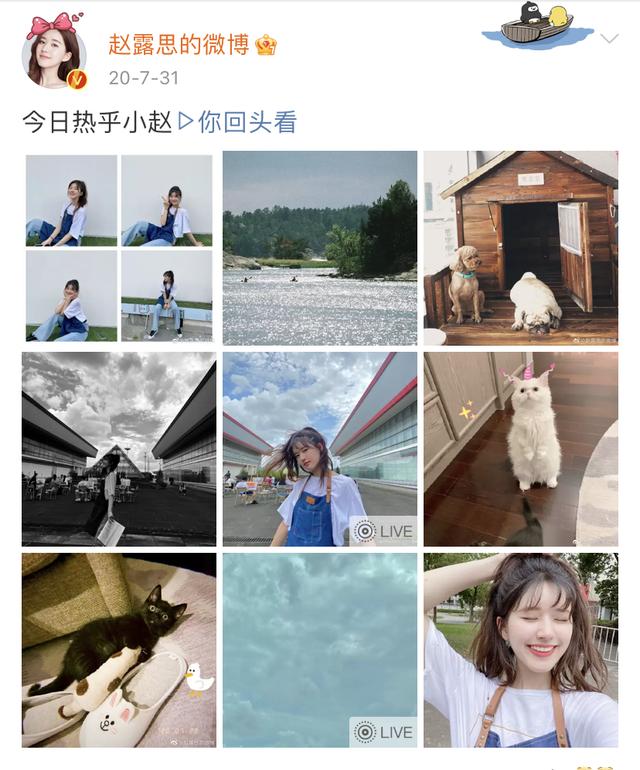 赵露思章若楠对比