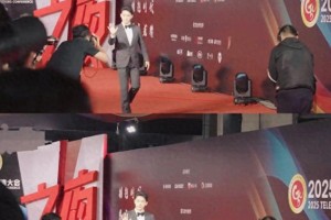 张晚意厅局风红毯走红，揭秘反油腻人设爆火原因