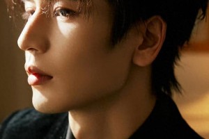精彩图片集锦：精选视觉盛宴