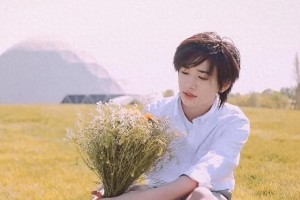精彩图片集锦：精选视觉盛宴