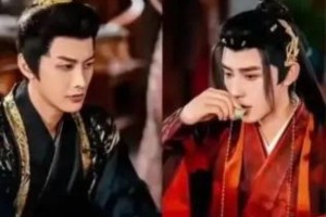 双男主剧热潮：6部爆款剧为何让观众熬夜追看？