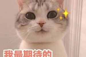 《伪装者》萌探家族重聚76号，爆笑卧底对决