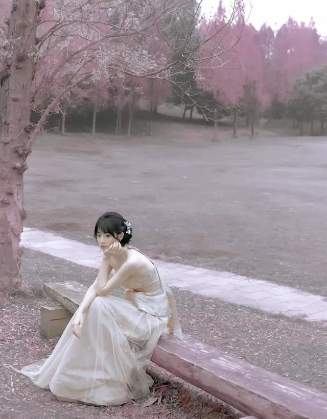 精选图片4